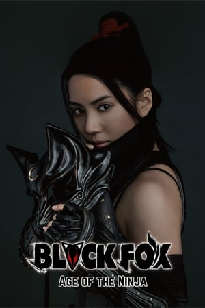Black Fox: Age of the Ninja 2019 Dual Audio HDRip | Dubbed Hindi Movie – 480p
