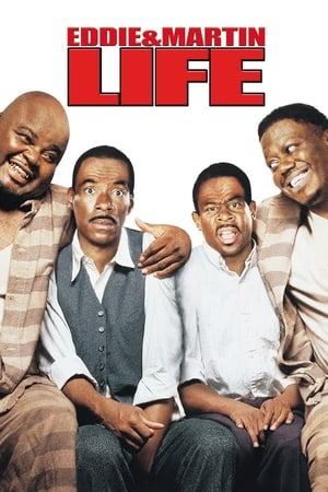 Life (1999) Movie Dual Audio | Dubbed Hindi Movie BluRay [2GB]