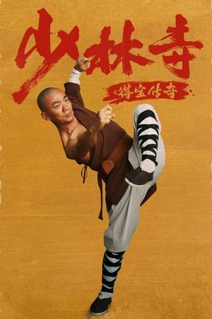 Rising Shaolin: The Protector (2021) Dual Audio HDRip | Dubbed Hindi Movie – 480p