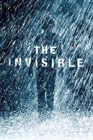 The Invisible 2007 Dual Audio | Dubbed Hindi Movie BRRip 300MB