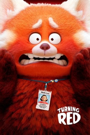 Turning Red 2022 Dual Audio HDRip | Dubbed Hindi Movie – 480p